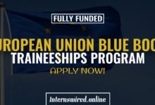 European Union Blue Book Traineeships Program